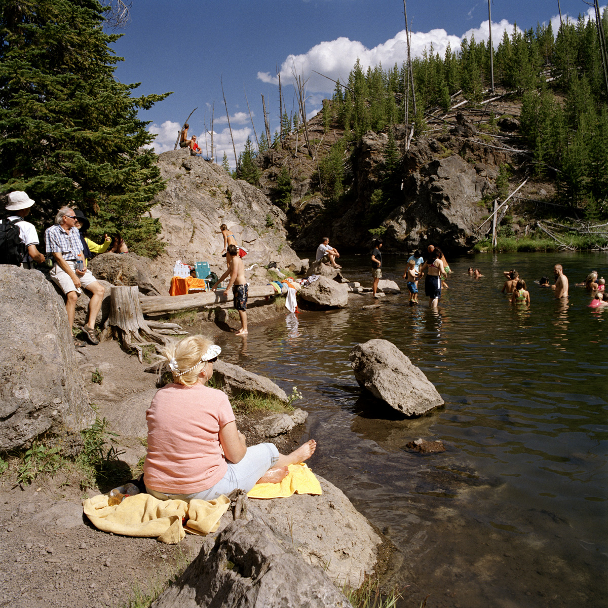 River Swimmers, Yellowstone National Park, WY