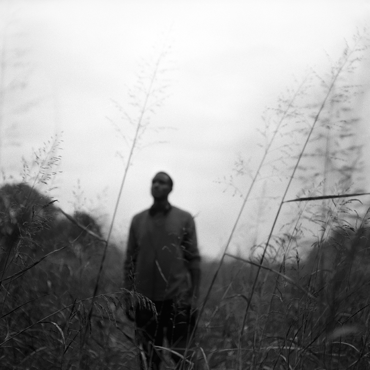 Man in Field, Mound Bayou, MS 2011