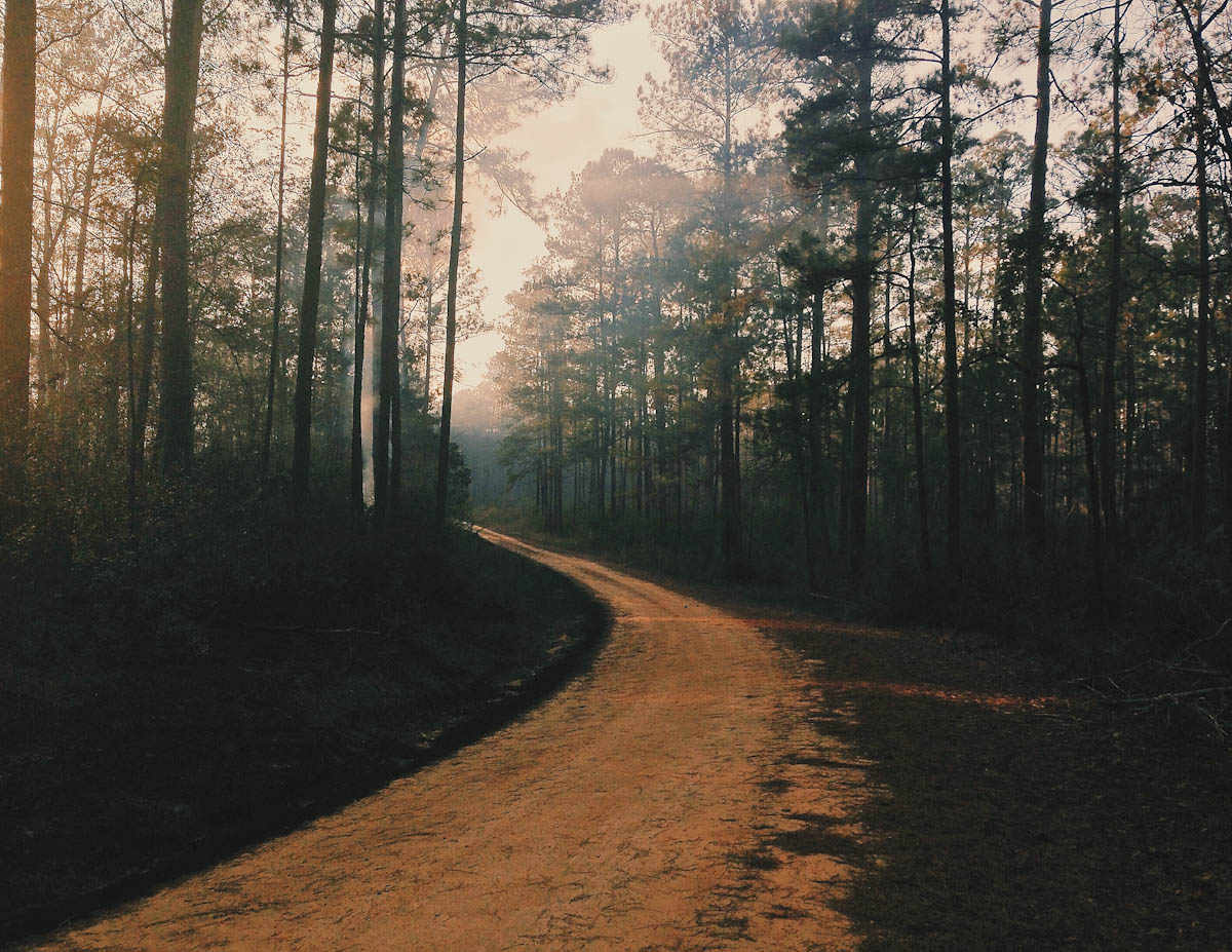 Smoky Dirt Road, Forrest County, MS
