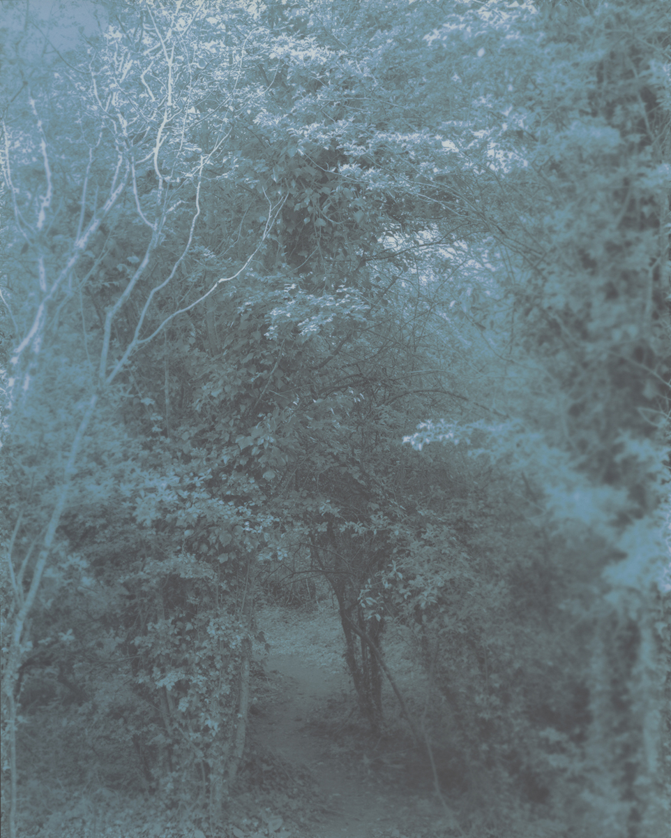 Pathway to the Shire, 2012 8 x 10 Disappearing Photograph on Gelatin Silver Paper, First Exposure