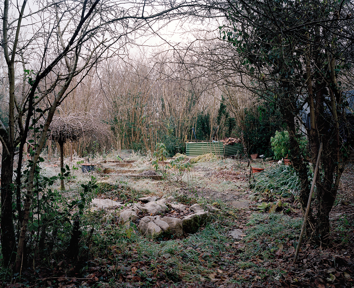 Kevin & Irene's garden, December 2010