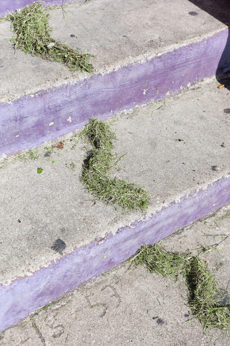 Green Grass and Purple Steps and a Used Cigarette